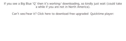 If you see a Big Blue ‘Q’ then it’s working/ downloading, so kindly just wait (could take a while if you are not in North America).

Can’t see/hear it? Click here to download free upgraded  Quicktime player:

Windows
Macintosh